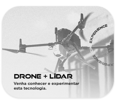 DRONE + LiDAR
